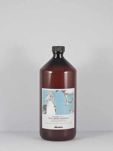DAVINES NATURAL TECH WELL BEING SHAMPOO 1000ML